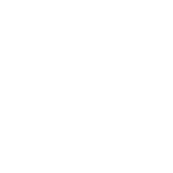 cameras